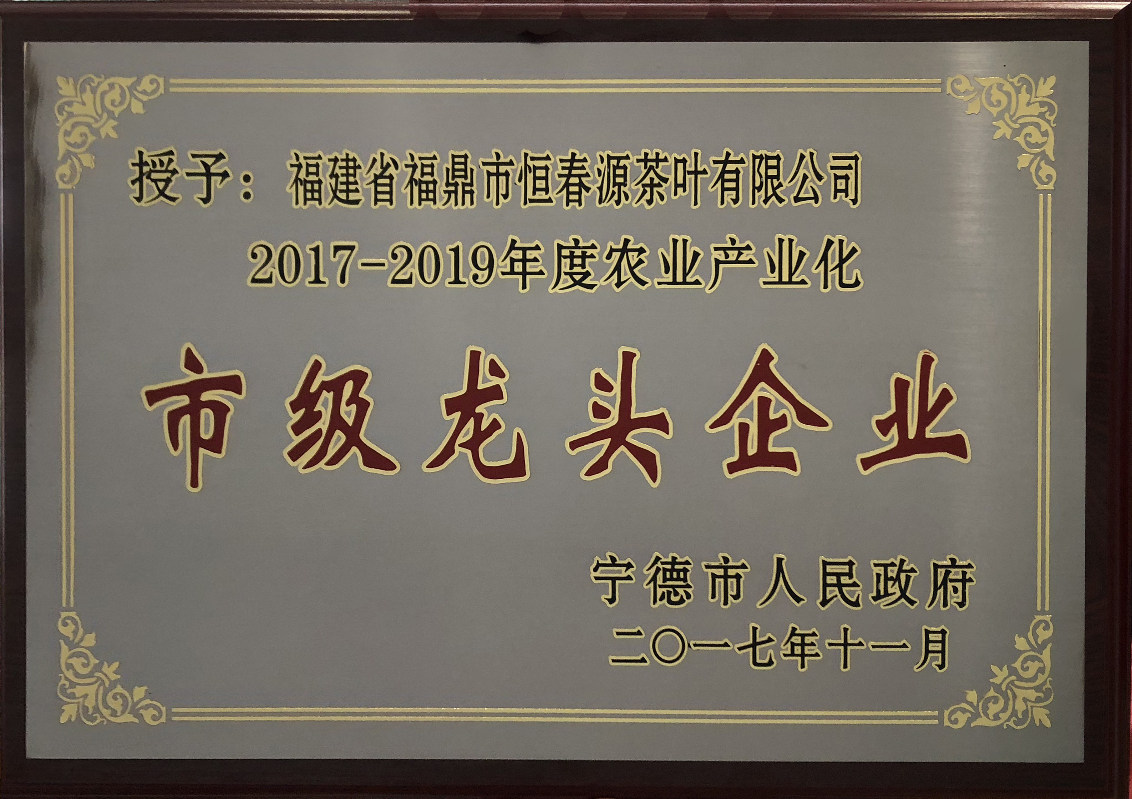 2017-2019年度市級龍頭企業(yè)